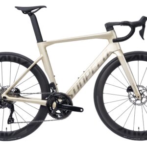 VICTORY EXPERT CARBON SHIMANO DI2 105 PLATA 700C*25C 24V SUNPEED